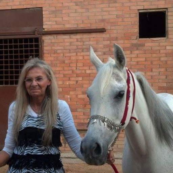 BUNDLES of 2 SAVE WITH DISCOUNT plus SHIPPING DISCOUNT - Picture 8 of 8